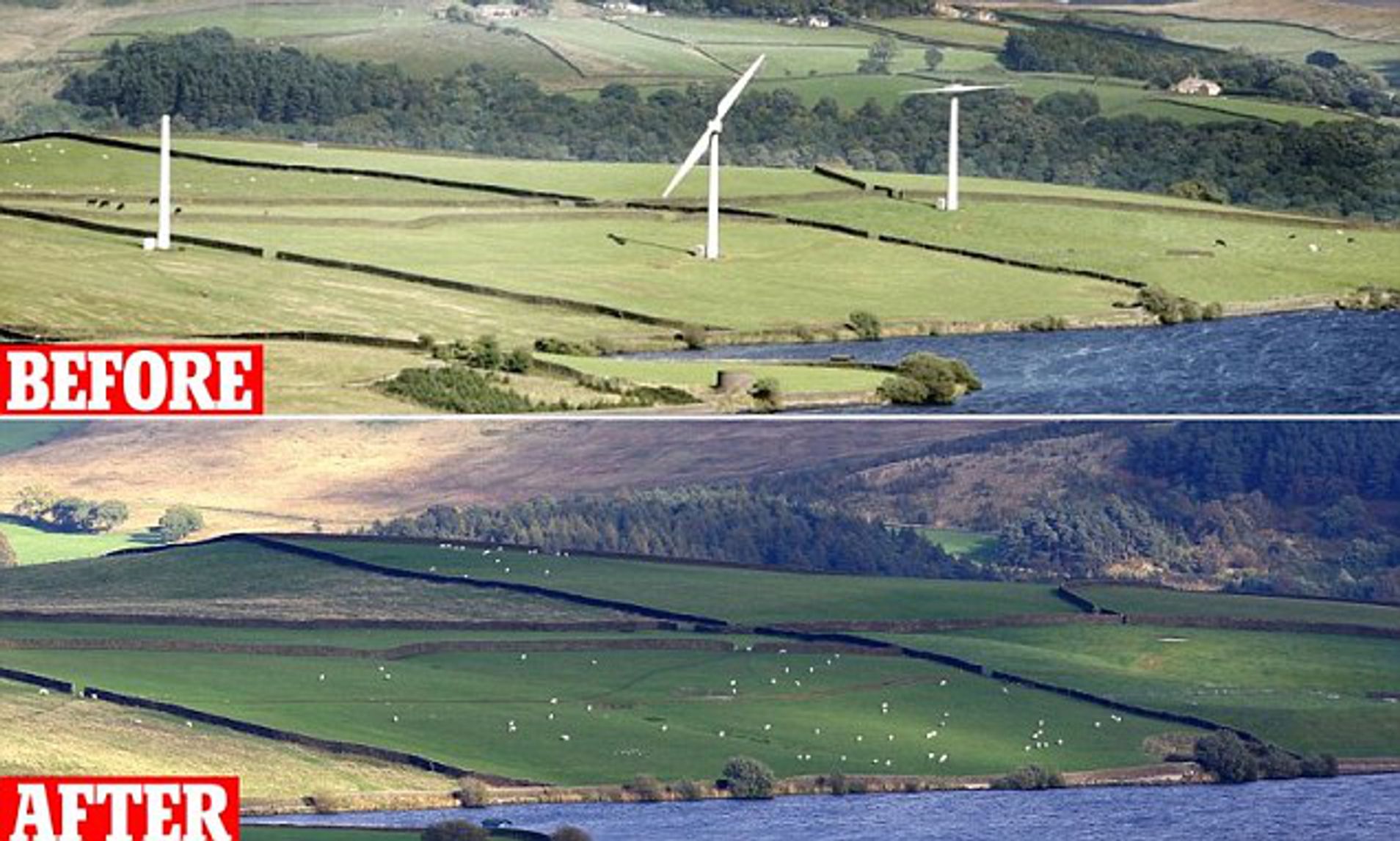 article-2461999-18C25ABB00000578-694_636x382